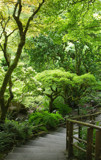 Butchart Gardens by doughlas, photography->gardens gallery