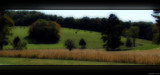 Lazy Grazers by Hottrockin, Photography->Landscape gallery
