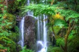 The Waterfall Behind The Treee by gr8fulted, photography->waterfalls gallery