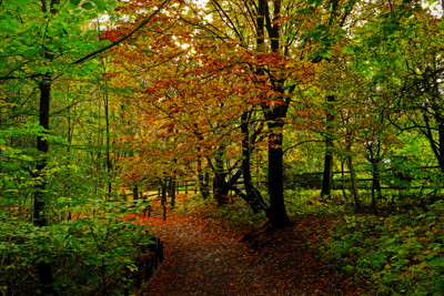 Click here to view at full resolution.