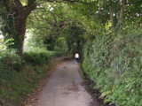 Country Lanes by johindes, Photography->Nature gallery