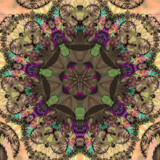 Seven's Revenge by Flmngseabass, abstract->fractal gallery