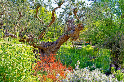 Click here to view at full resolution.