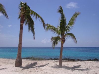 Click here to view at full resolution.