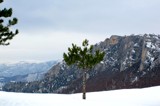 Just Winter by koca, Photography->Mountains gallery