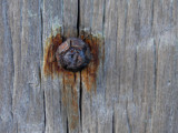 Rust 2 by rvdb, photography->macro gallery