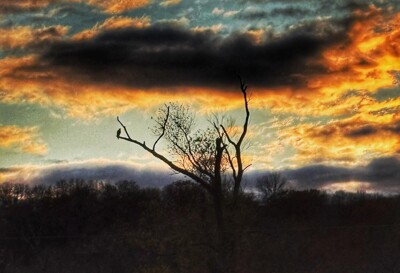 Click here to view at full resolution.