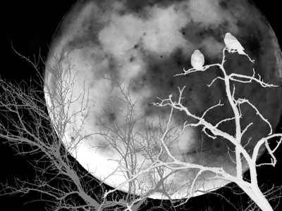 Click here to view at full resolution.