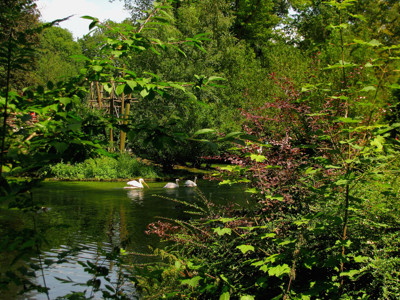 Click here to view at full resolution.