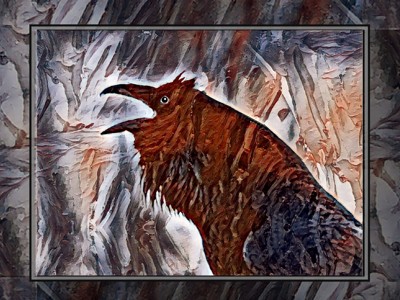 Click here to view at full resolution.