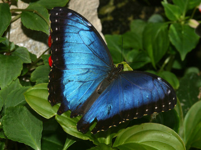 Click here to view at full resolution.