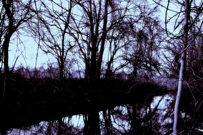 Click here to view at full resolution.