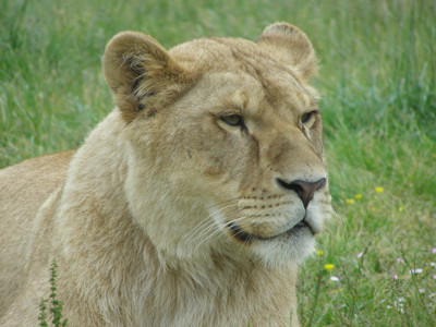 Click here to view at full resolution.