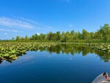kayaking, grassy Creek #3 by tigger3, photography->water gallery