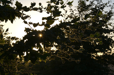 Click here to view at full resolution.