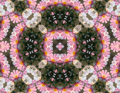 Click here to view at full resolution.