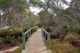 Bush Walk by flanno2610, photography->bridges gallery