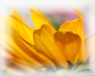 Click here to view at full resolution.
