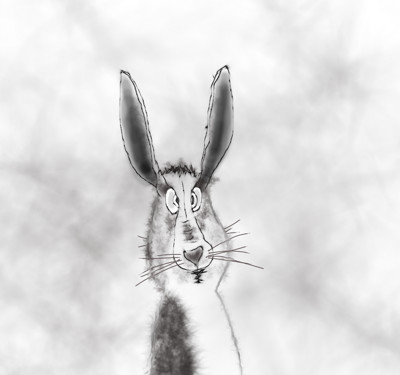 Click here to view at full resolution.