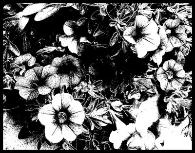 Click here to view at full resolution.