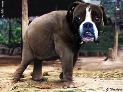 Click here to view at full resolution.