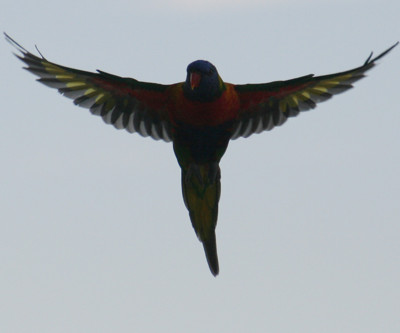 Click here to view at full resolution.