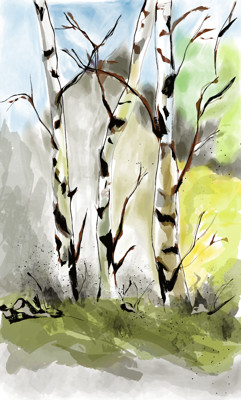 Click here to view at full resolution.