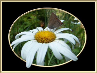 Click here to view at full resolution.
