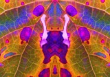 Leaf Art by sunny184, photography->manipulation gallery