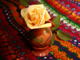 Rosa, Tinaja, Tapete by bryancito, Photography->Still life gallery