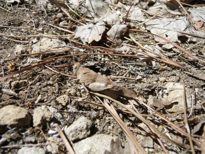 Click here to view at full resolution.