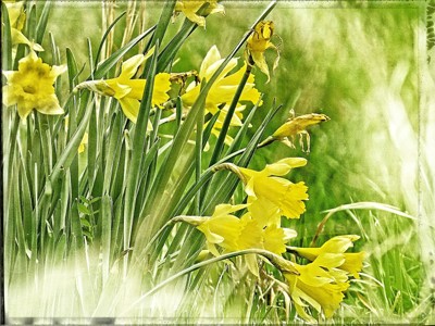 Click here to view at full resolution.