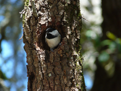 Click here to view at full resolution.