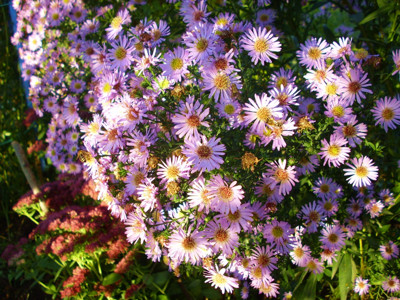 Click here to view at full resolution.