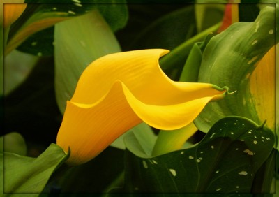 Click here to view at full resolution.