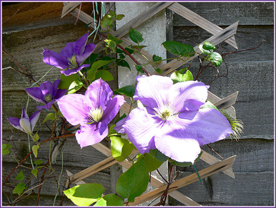 Click here to view at full resolution.
