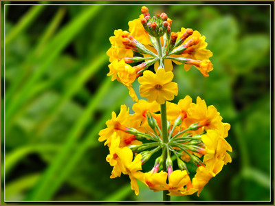 Click here to view at full resolution.