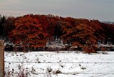 Early Snow by bingwa, Photography->Landscape gallery