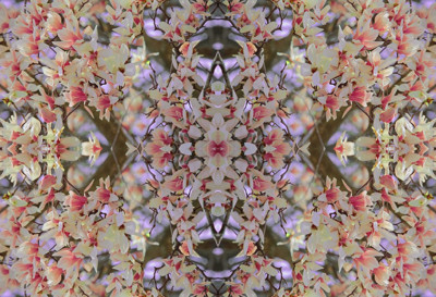 Click here to view at full resolution.