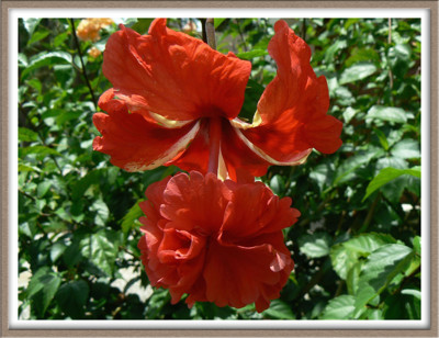 Click here to view at full resolution.
