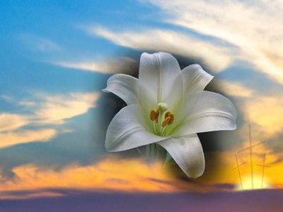 Click here to view at full resolution.