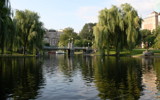 Frog Pond by Tomeast, photography->general gallery