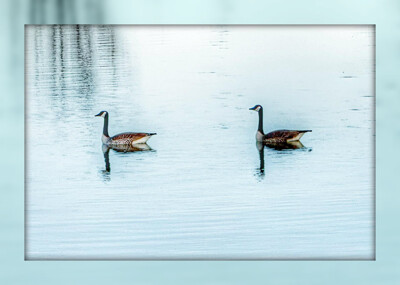 Click here to view at full resolution.