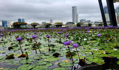 Click here to view at full resolution.