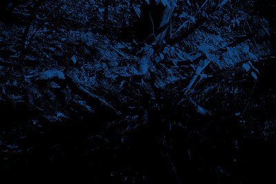 Click here to view at full resolution.