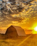 The Golden Hour by Starglow, photography->sunset/rise gallery