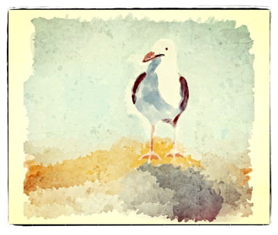 Click here to view at full resolution.