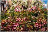 Spring Foofies 05 by corngrowth, photography->flowers gallery