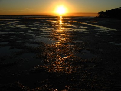 Click here to view at full resolution.