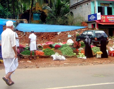 Click here to view at full resolution.